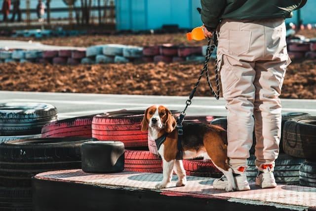 Run group classes efficiently