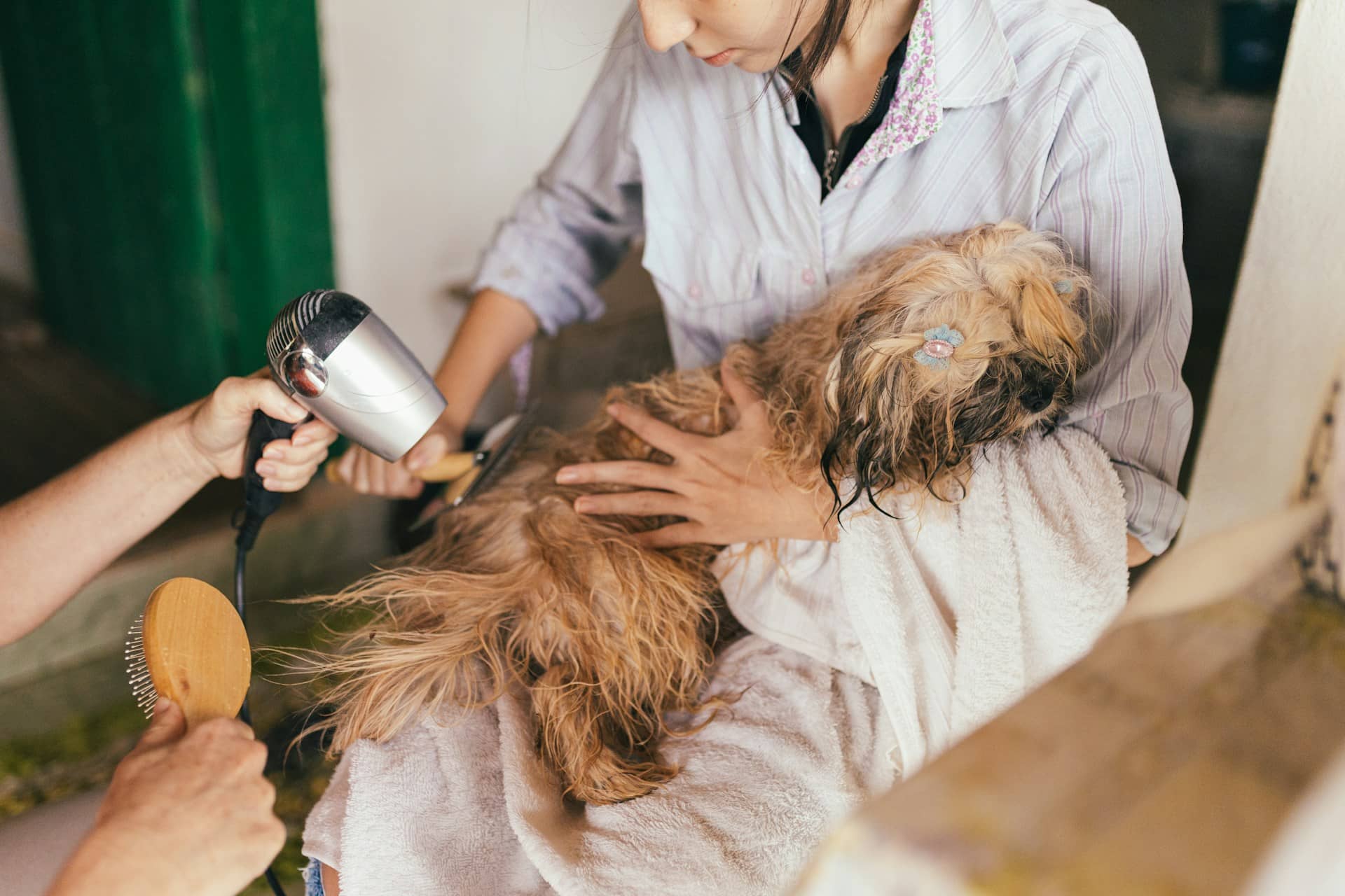 Pet Grooming & Boarding