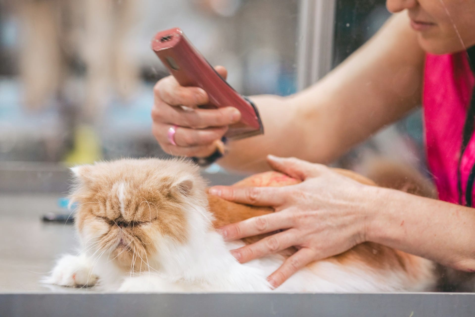 Veterinary Practices